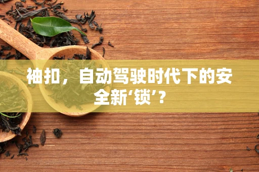 袖扣，自动驾驶时代下的安全新‘锁’？