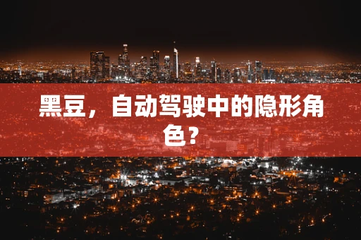 黑豆，自动驾驶中的隐形角色？