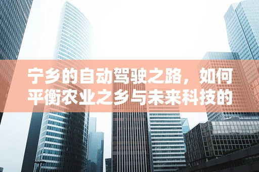 宁乡的自动驾驶之路，如何平衡农业之乡与未来科技的前沿？