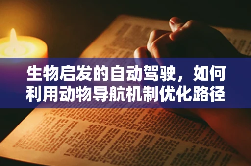 生物启发的自动驾驶，如何利用动物导航机制优化路径规划？