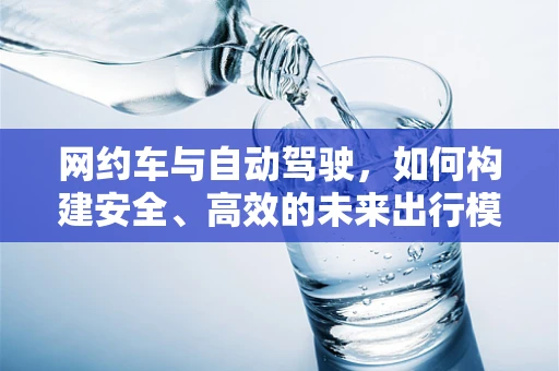 网约车与自动驾驶，如何构建安全、高效的未来出行模式？