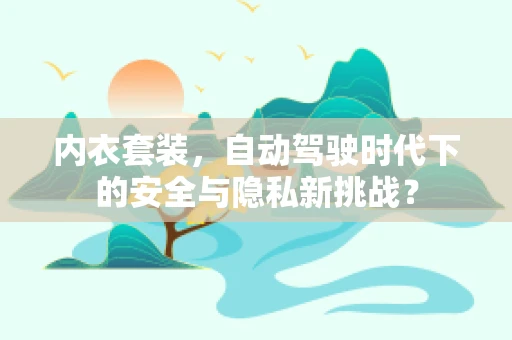 内衣套装，自动驾驶时代下的安全与隐私新挑战？