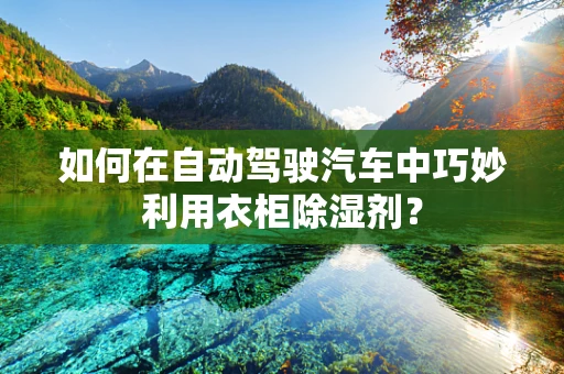 如何在自动驾驶汽车中巧妙利用衣柜除湿剂？