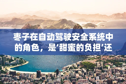枣子在自动驾驶安全系统中的角色，是‘甜蜜的负担’还是‘智能的果实’？
