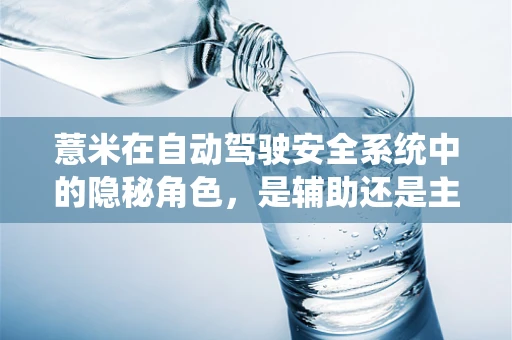 薏米在自动驾驶安全系统中的隐秘角色，是辅助还是主角？