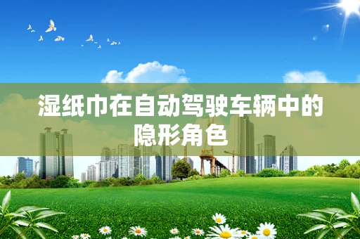 湿纸巾在自动驾驶车辆中的隐形角色