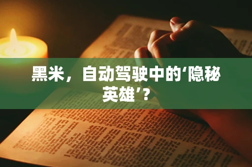 黑米，自动驾驶中的‘隐秘英雄’？