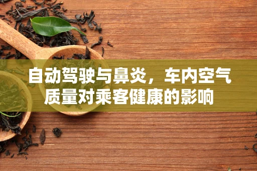自动驾驶与鼻炎，车内空气质量对乘客健康的影响