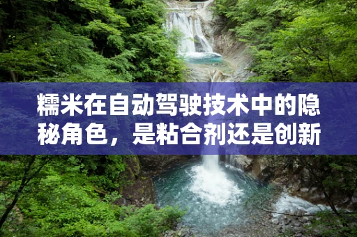 糯米在自动驾驶技术中的隐秘角色，是粘合剂还是创新催化剂？