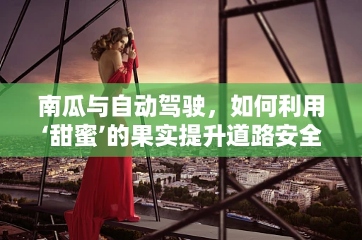 南瓜与自动驾驶，如何利用‘甜蜜’的果实提升道路安全？