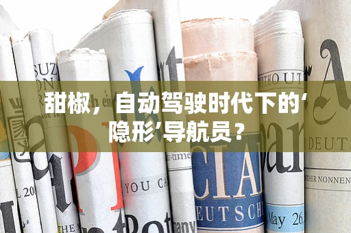甜椒，自动驾驶时代下的‘隐形’导航员？