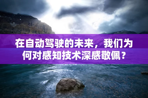 在自动驾驶的未来，我们为何对感知技术深感敬佩？