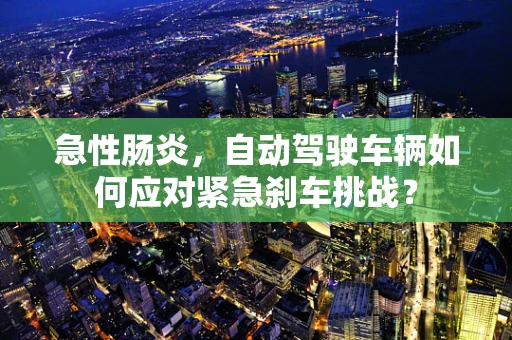 急性肠炎，自动驾驶车辆如何应对紧急刹车挑战？