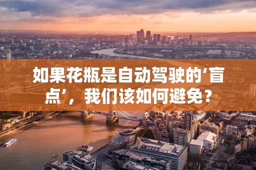 如果花瓶是自动驾驶的‘盲点’，我们该如何避免？