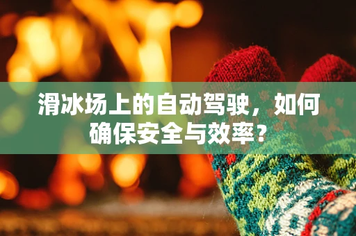 滑冰场上的自动驾驶，如何确保安全与效率？