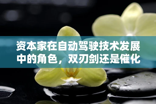 资本家在自动驾驶技术发展中的角色，双刃剑还是催化剂？