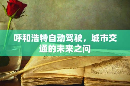 呼和浩特自动驾驶，城市交通的未来之问