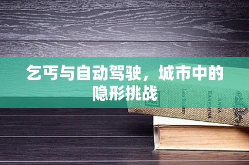 乞丐与自动驾驶，城市中的隐形挑战