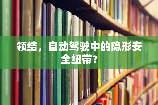 领结，自动驾驶中的隐形安全纽带？