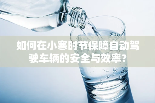 如何在小寒时节保障自动驾驶车辆的安全与效率？