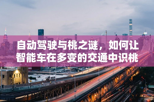 自动驾驶与桃之谜，如何让智能车在多变的交通中识桃而行？