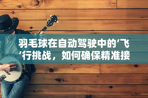 羽毛球在自动驾驶中的‘飞’行挑战，如何确保精准接球？