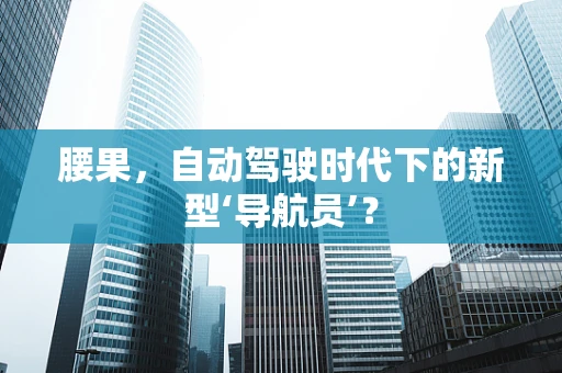 腰果，自动驾驶时代下的新型‘导航员’？