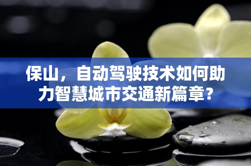 保山，自动驾驶技术如何助力智慧城市交通新篇章？