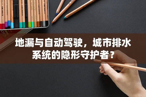 地漏与自动驾驶，城市排水系统的隐形守护者？
