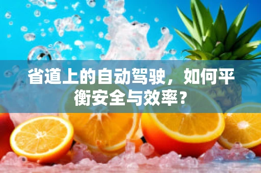 省道上的自动驾驶，如何平衡安全与效率？