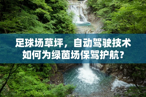足球场草坪，自动驾驶技术如何为绿茵场保驾护航？