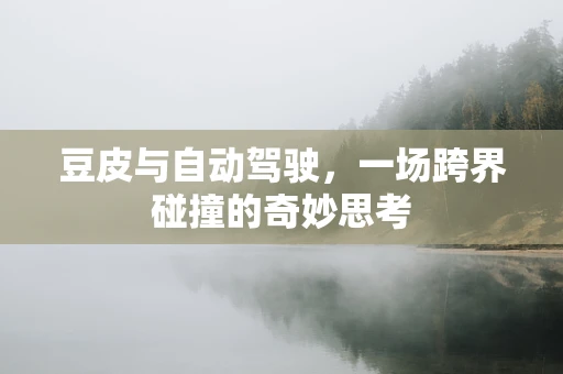 豆皮与自动驾驶，一场跨界碰撞的奇妙思考
