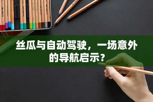 丝瓜与自动驾驶，一场意外的导航启示？
