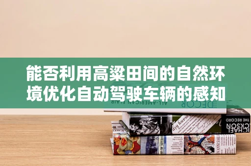 能否利用高粱田间的自然环境优化自动驾驶车辆的感知能力？