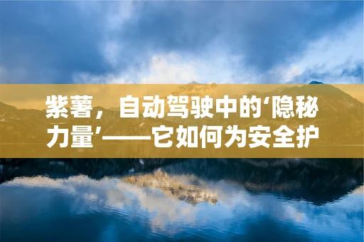 紫薯，自动驾驶中的‘隐秘力量’——它如何为安全护航？