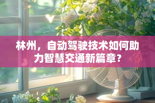 林州，自动驾驶技术如何助力智慧交通新篇章？