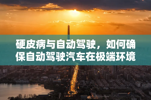 硬皮病与自动驾驶，如何确保自动驾驶汽车在极端环境下的安全性能？