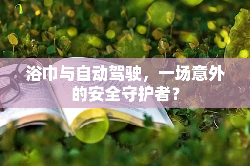 浴巾与自动驾驶，一场意外的安全守护者？