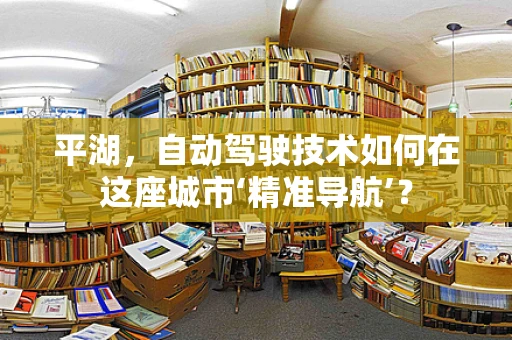 平湖，自动驾驶技术如何在这座城市‘精准导航’？