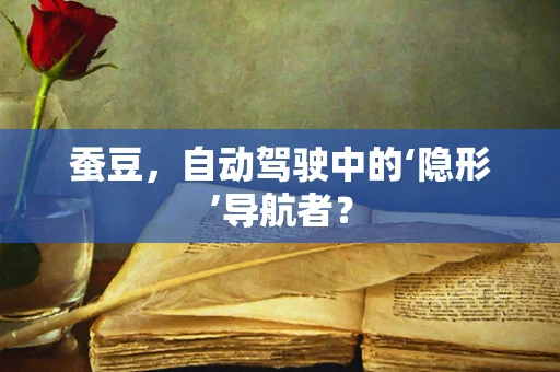 蚕豆，自动驾驶中的‘隐形’导航者？