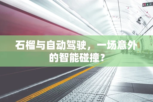 石榴与自动驾驶，一场意外的智能碰撞？