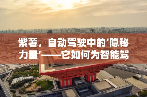 紫薯，自动驾驶中的‘隐秘力量’——它如何为智能驾驶系统增添‘色彩’？