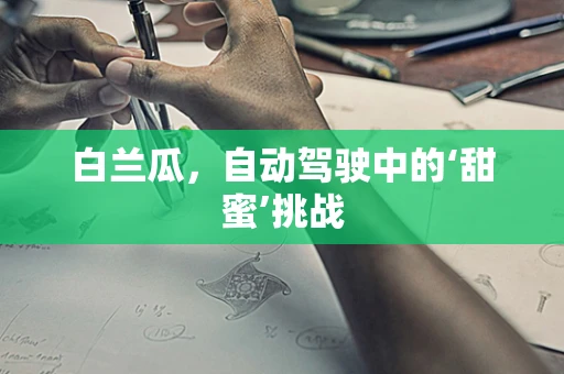 白兰瓜，自动驾驶中的‘甜蜜’挑战