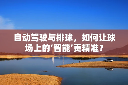 自动驾驶与排球，如何让球场上的‘智能’更精准？