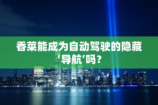 香菜能成为自动驾驶的隐藏‘导航’吗？