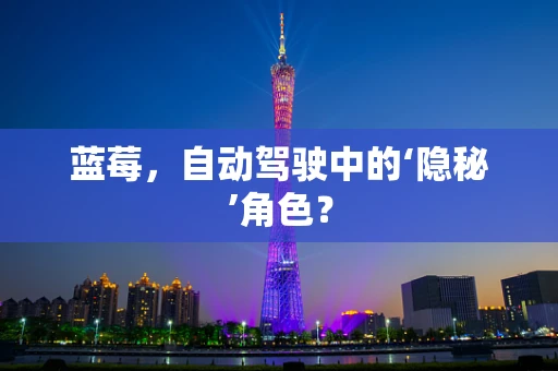 蓝莓，自动驾驶中的‘隐秘’角色？