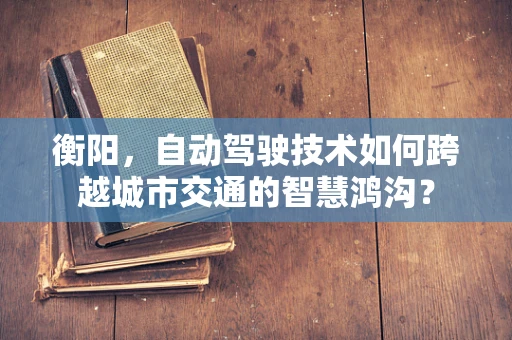 衡阳，自动驾驶技术如何跨越城市交通的智慧鸿沟？