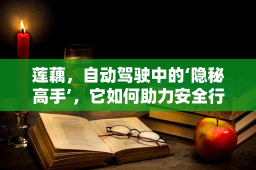 莲藕，自动驾驶中的‘隐秘高手’，它如何助力安全行驶？