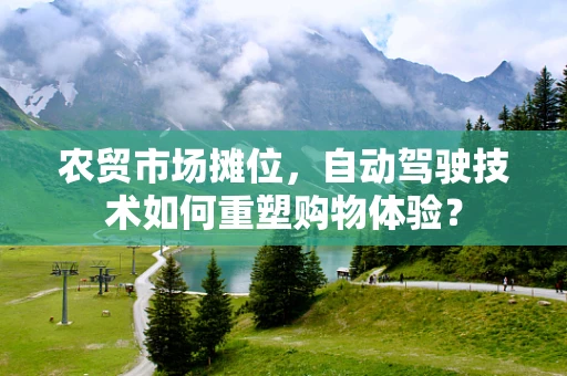 农贸市场摊位，自动驾驶技术如何重塑购物体验？