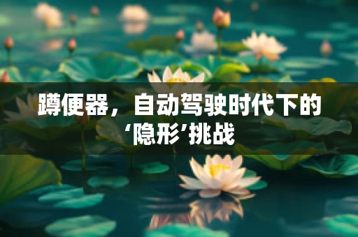 蹲便器，自动驾驶时代下的‘隐形’挑战